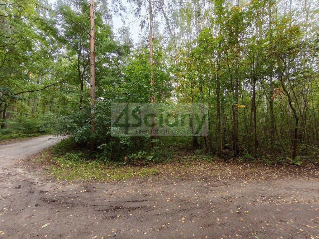 Działka budowlana Ojrzanów. Zdjęcie 3