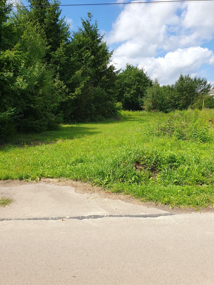 Działka rolno-budowlana Zosin. Zdjęcie 4