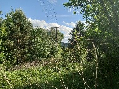 Działka budowlana Roztoka-Brzeziny Szarysz. Zdjęcie 2