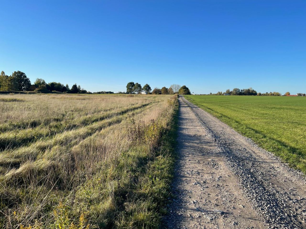 Działka budowlana Łąki. Zdjęcie 4
