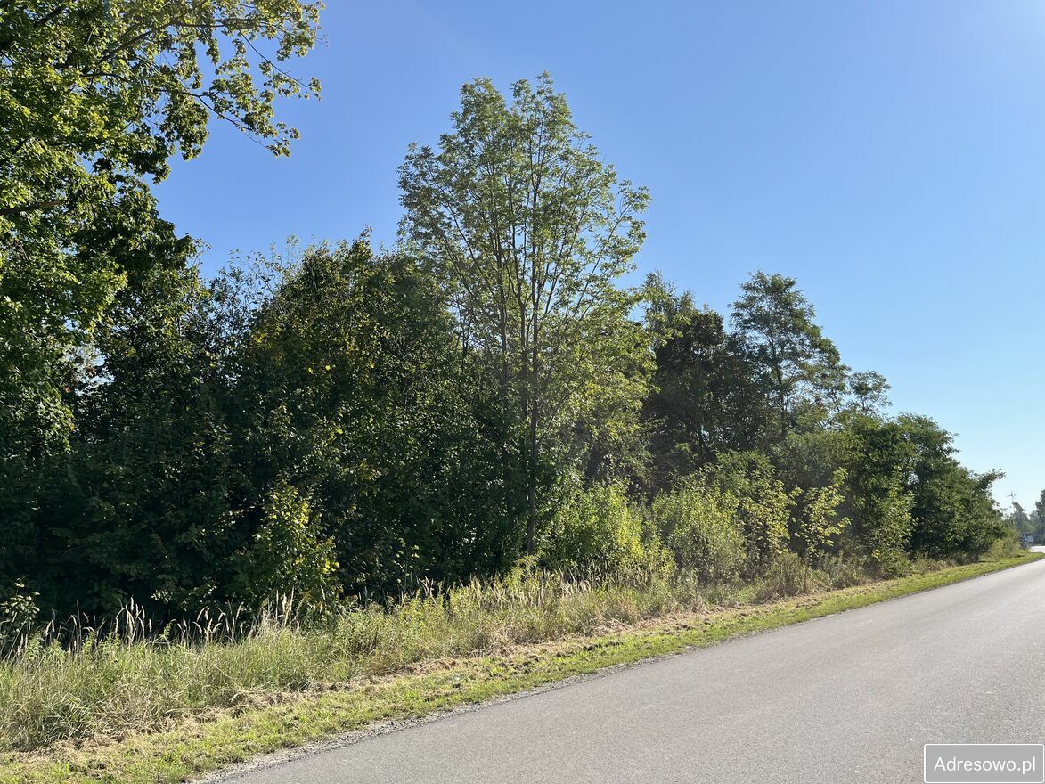 Działka rolna Trawniki-Kolonia. Zdjęcie 2