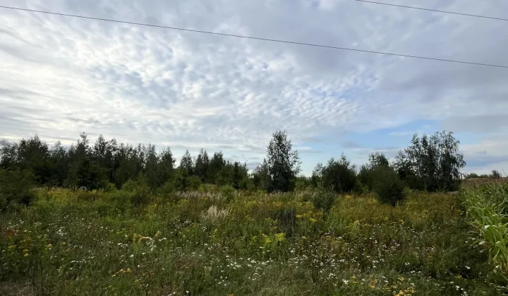 Działka inwestycyjna Piotrków Trybunalski Raków Mały, ul. Tomaszowska