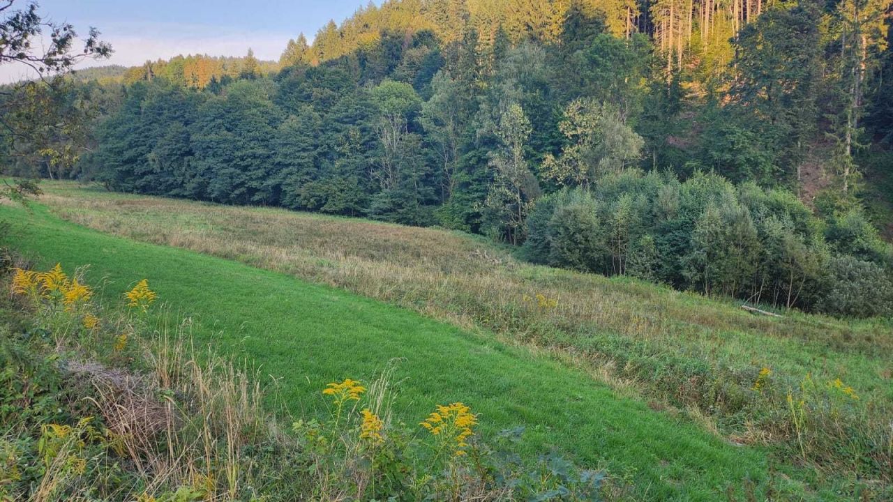 Działka inwestycyjna Lutynia. Zdjęcie 6