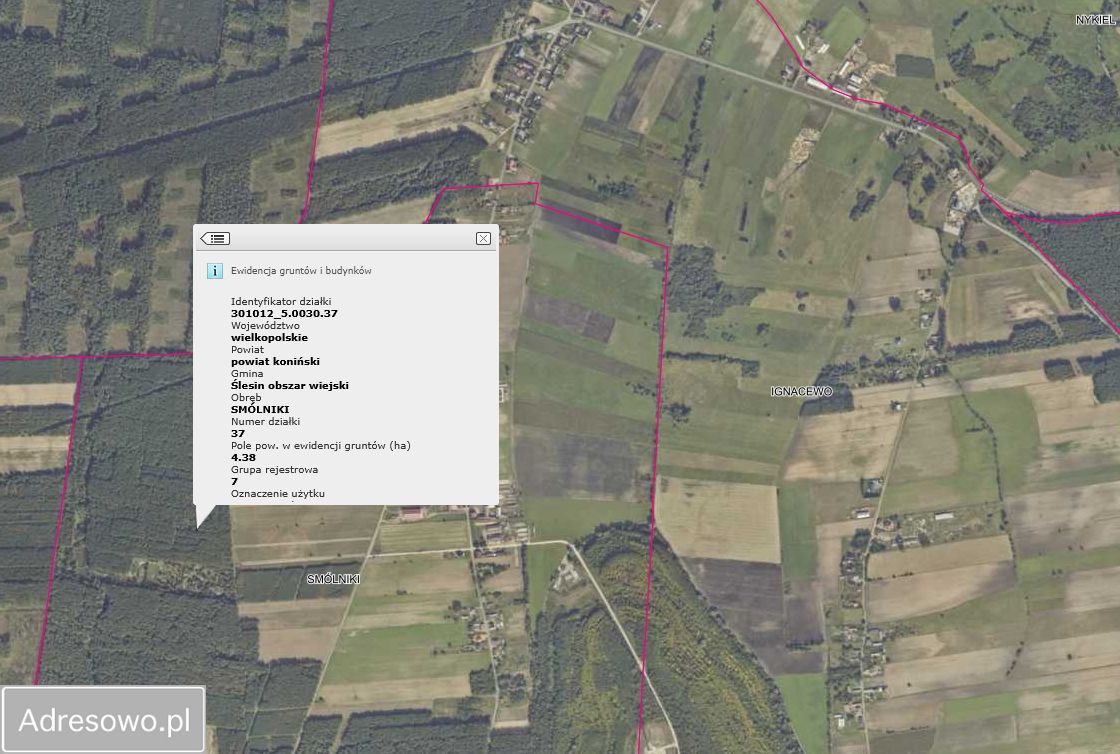 Działka Smolniki. Zdjęcie 2
