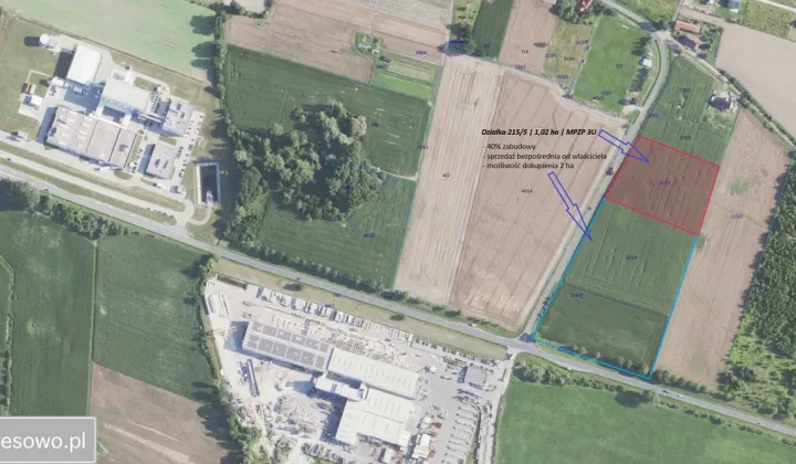 Działka inwestycyjna Wszemirów