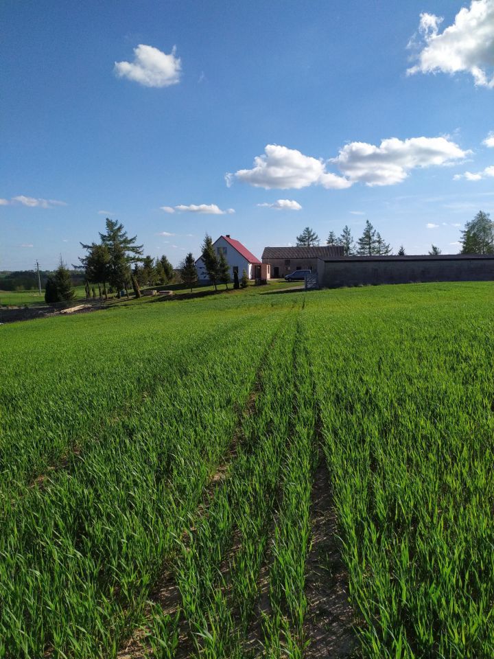 Działka budowlana Połęczyno, ul. Żołnierzy Niezłomnych. Zdjęcie 5
