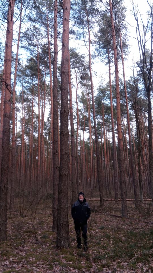 Działka leśna Wólka Radzymińska, ul. Leśna. Zdjęcie 5