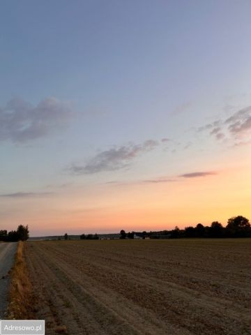 Działka budowlana Tchórzew-Kolonia. Zdjęcie 1