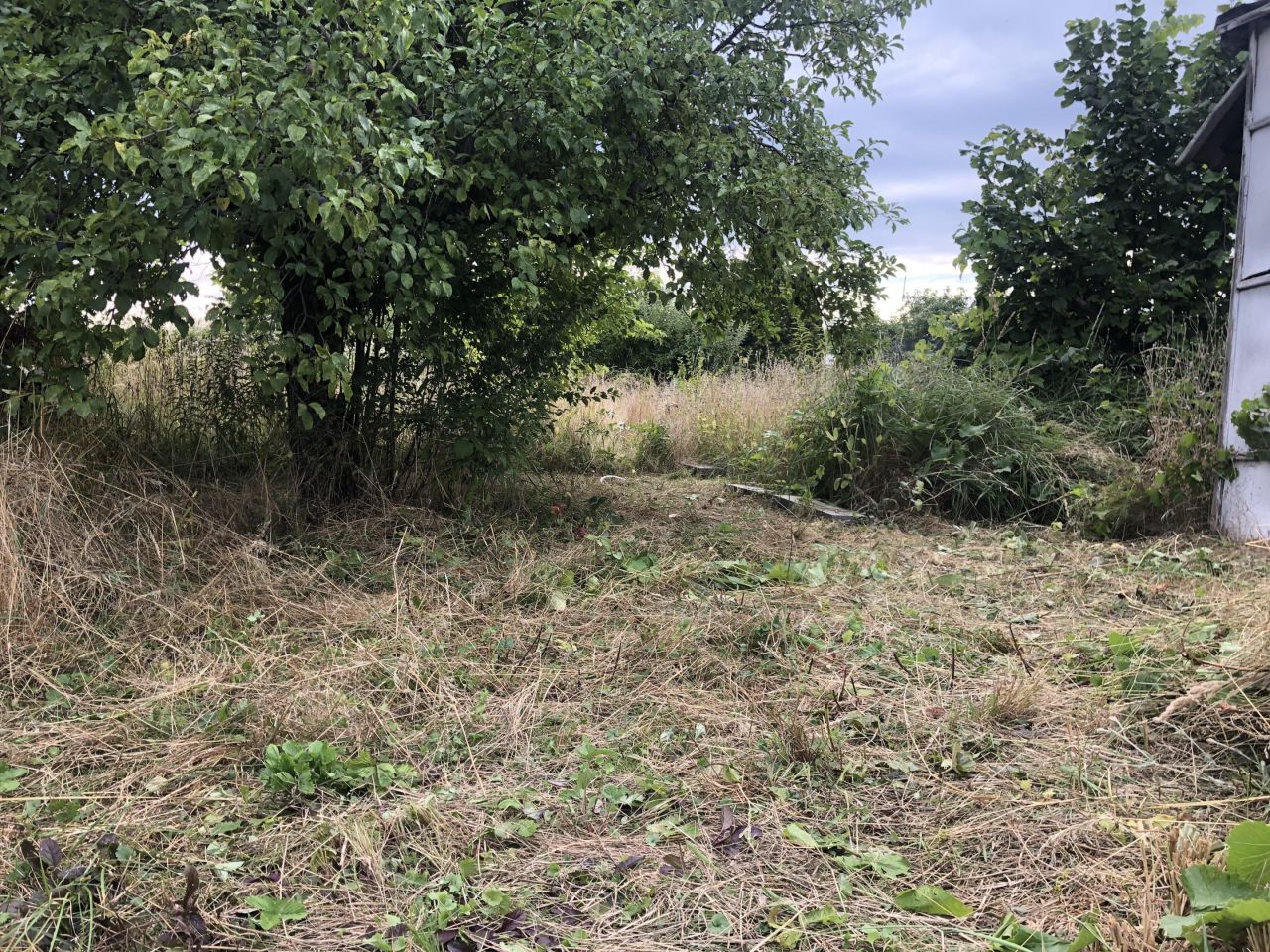 Działka rod Lubin Przylesie