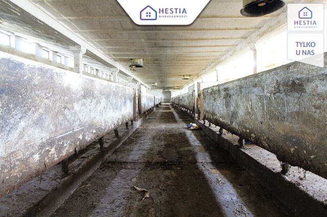 Hala/magazyn Strzyżno. Zdjęcie 8