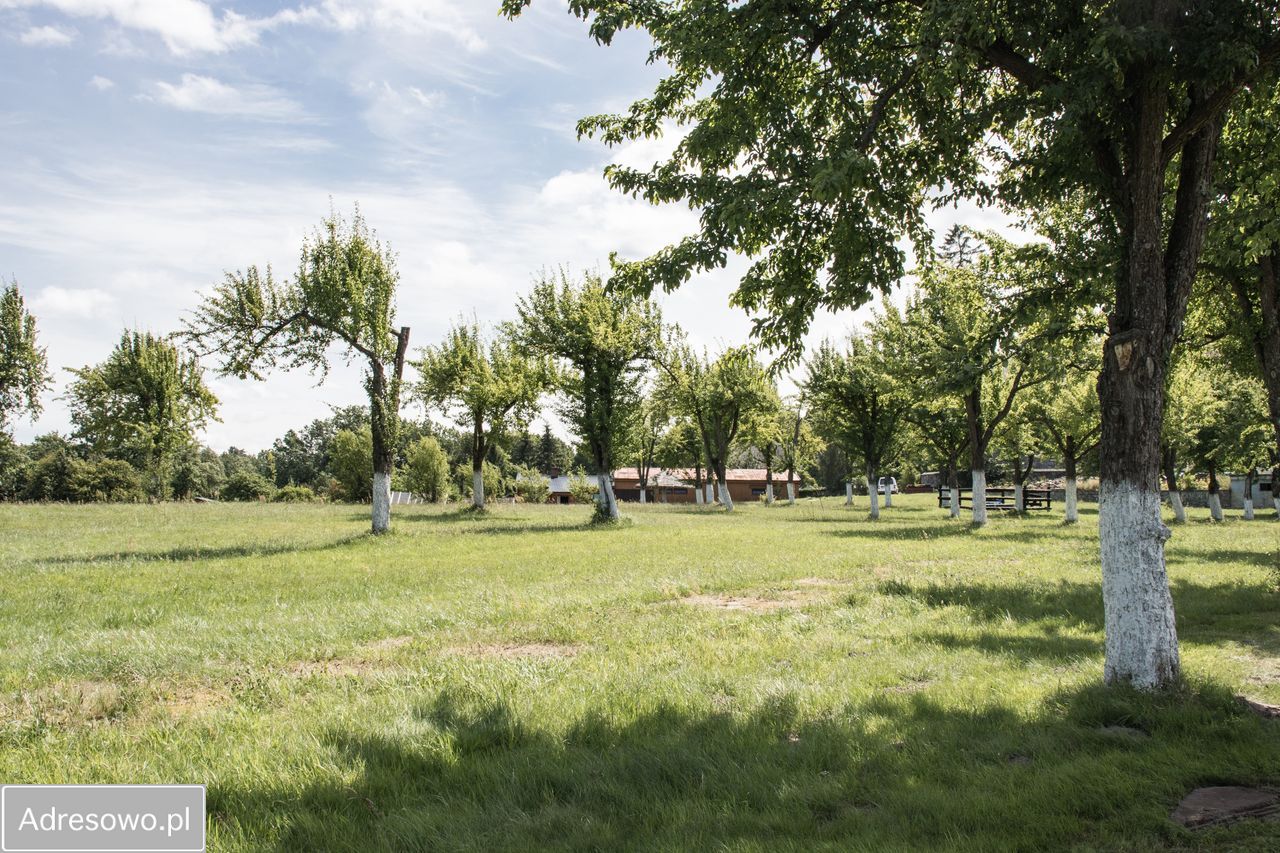 Działka inwestycyjna Salino. Zdjęcie 10