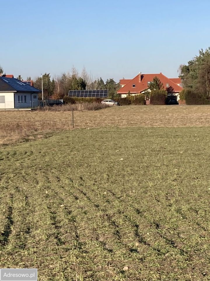 Działka rolna Brzezina, ul. Wieczysta. Zdjęcie 5