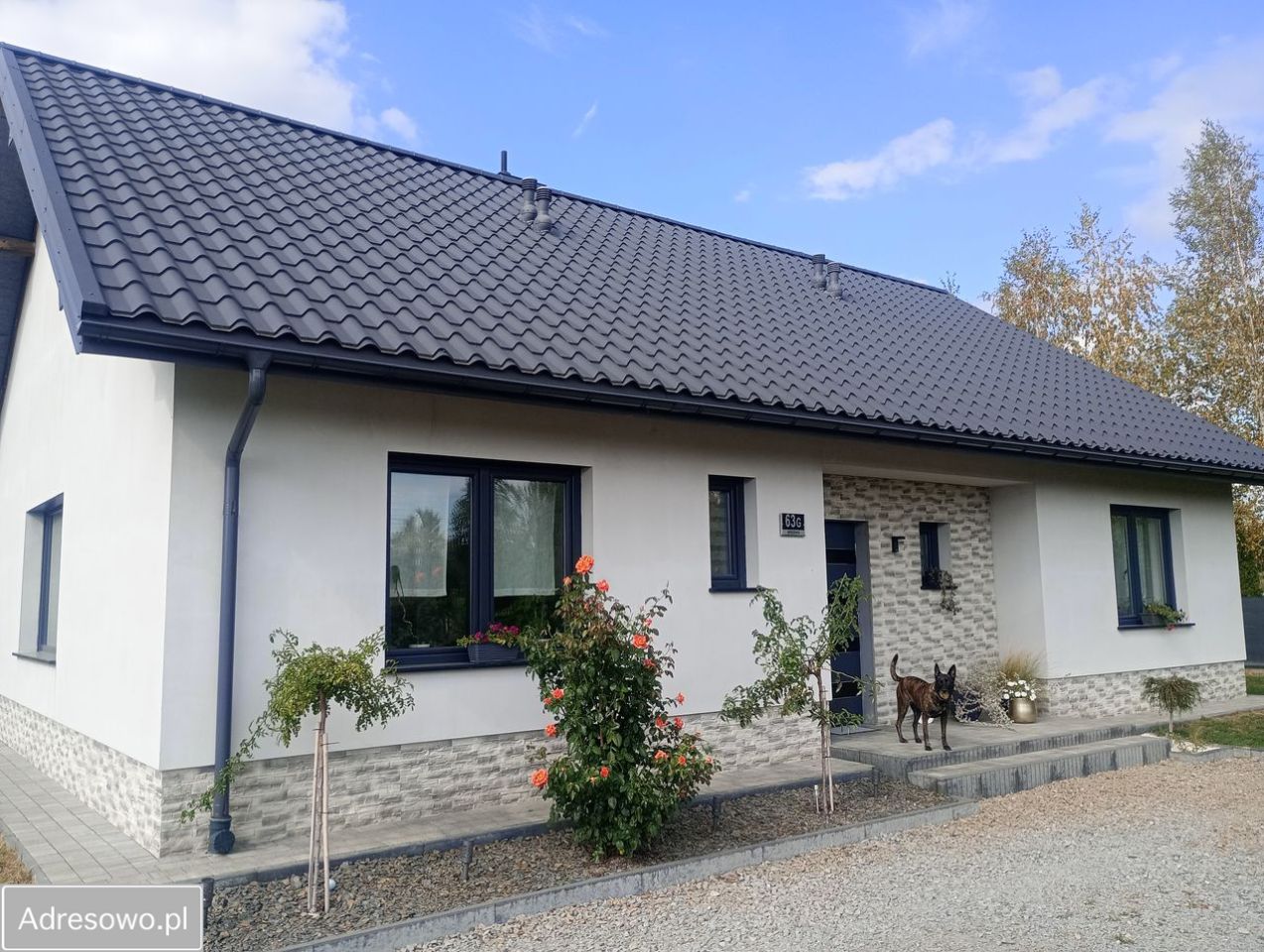 dom wolnostojący, 6 pokoi Brzezówka. Zdjęcie 16