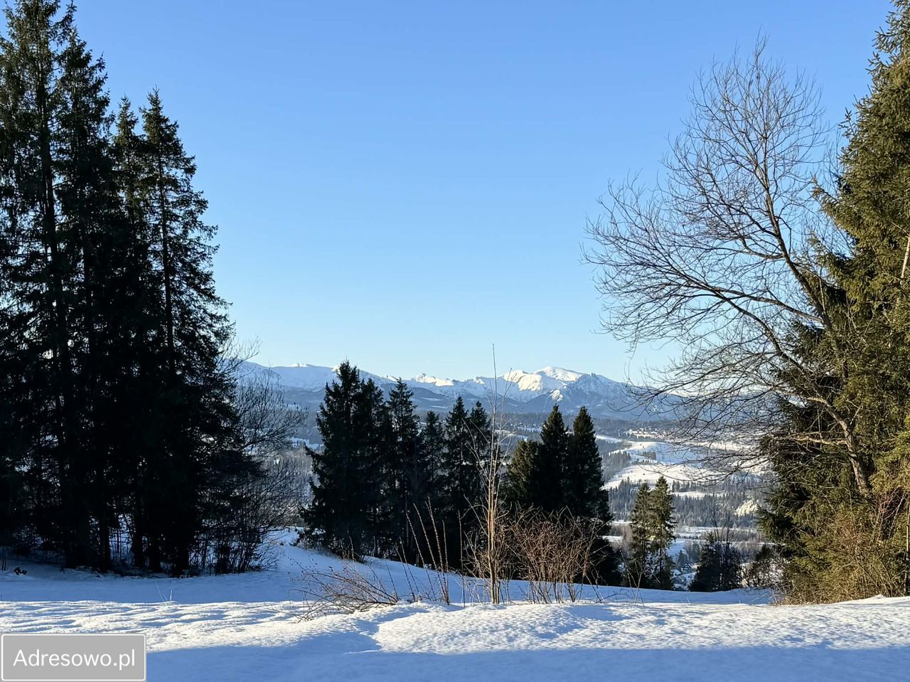 Działka budowlana Rzepiska, ul. Pawliki. Zdjęcie 5