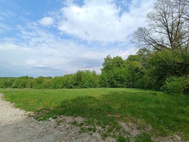 Działka inwestycyjna Konstantynów Łódzki Józefów. Zdjęcie 5