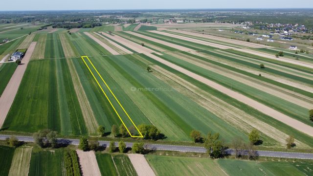 Działka inwestycyjna Rybno. Zdjęcie 2