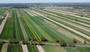 Działka inwestycyjna Rybno