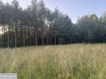 Działka inwestycyjna Śnietnica. Zdjęcie 4