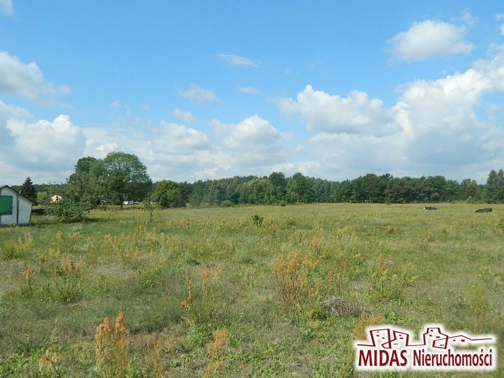 Działka rekreacyjna Dąb Mały. Zdjęcie 1