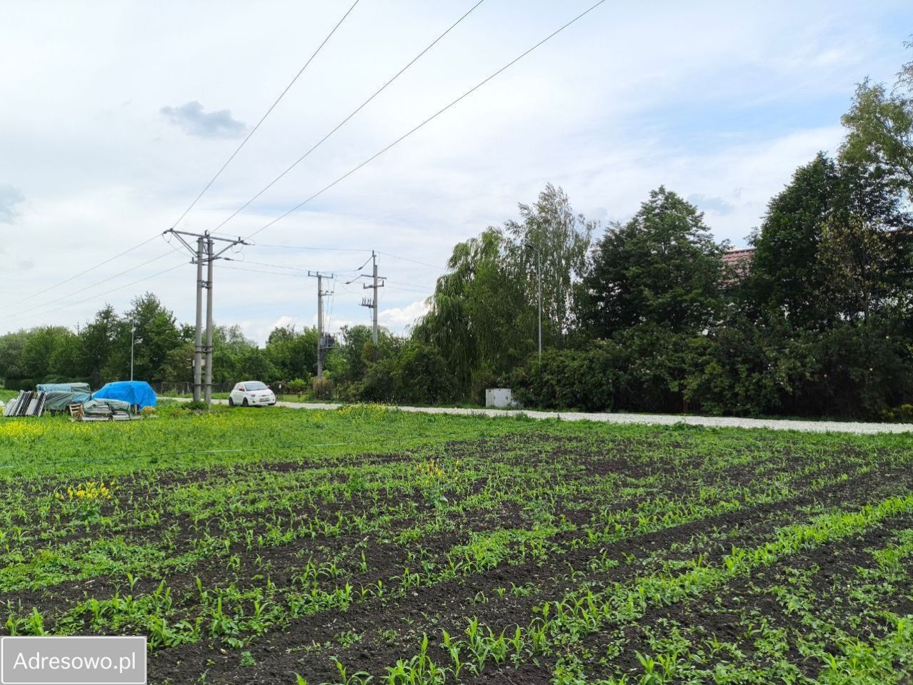 Działka budowlana Bogunów, ul. Ogrodowa. Zdjęcie 4