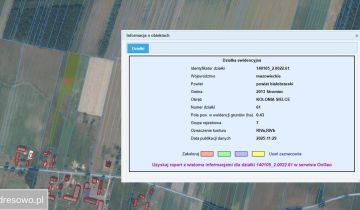 Działka rolna Kolonia Sielce