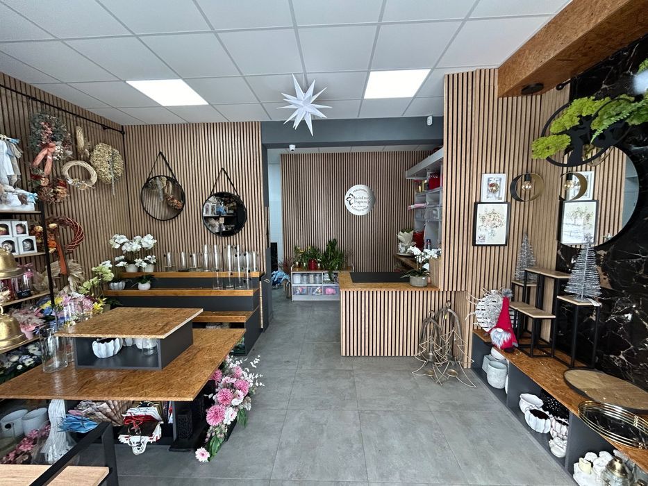 Lokal Kraków, ul. Aleksandry. Zdjęcie 8