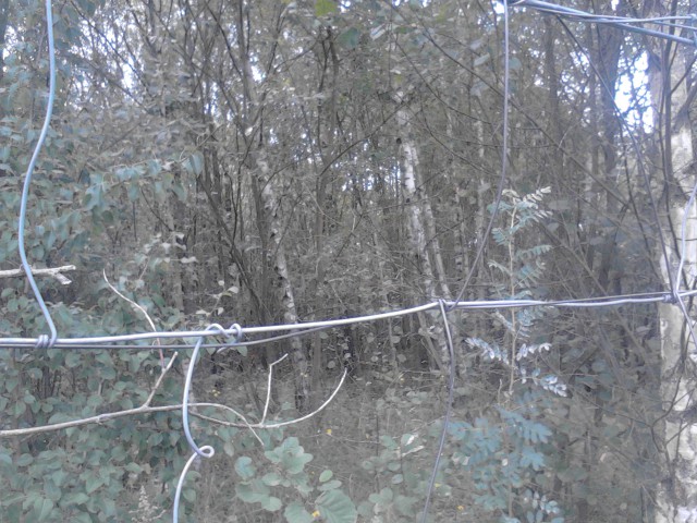 Działka budowlana Ługwałd. Zdjęcie 1