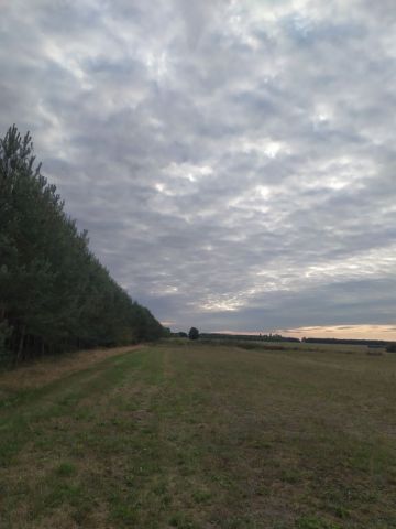 Działka rolno-budowlana Ludwików. Zdjęcie 1