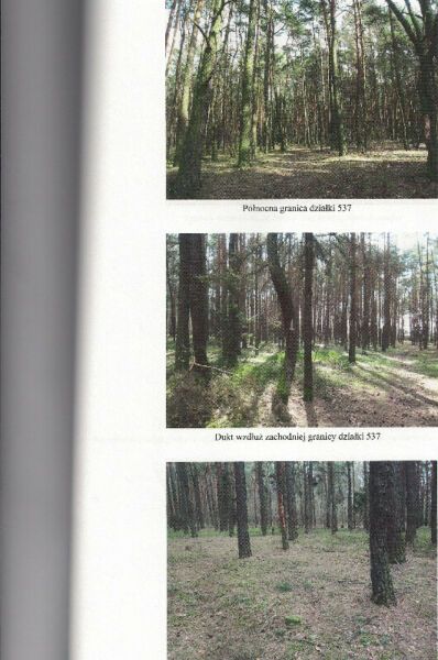 Działka rekreacyjna Barycz. Zdjęcie 2