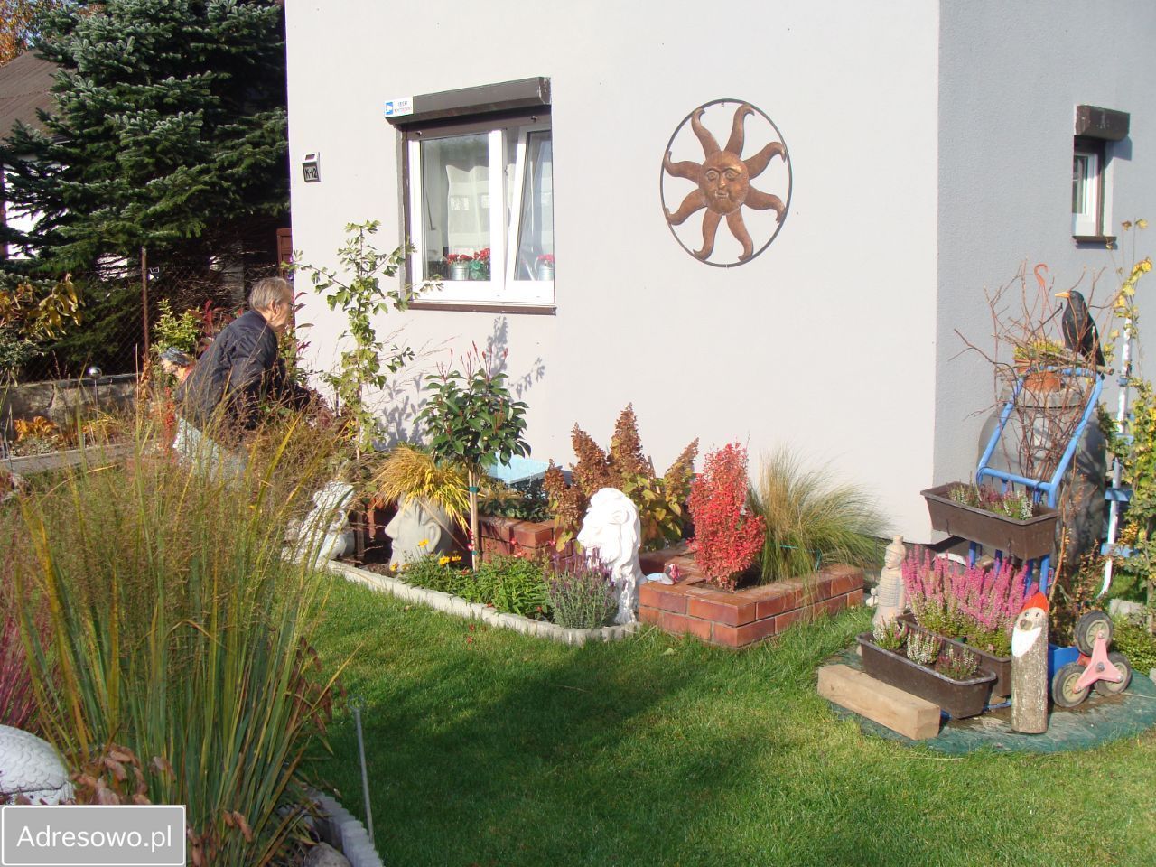 Działka rod Poznań Jeżyce, ul. Bukowska. Zdjęcie 7