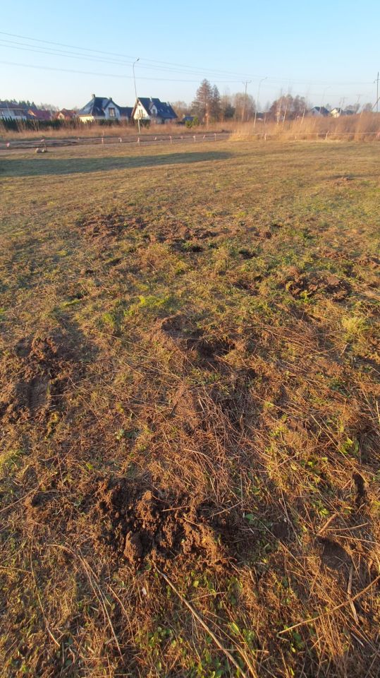 Działka budowlana Wągrowiec, ul. Marii Dąbrowskiej. Zdjęcie 5