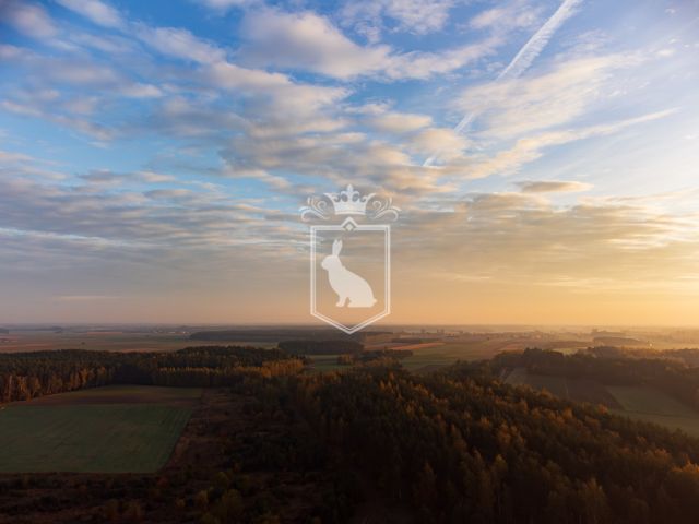 Działka budowlana Gnojno. Zdjęcie 18