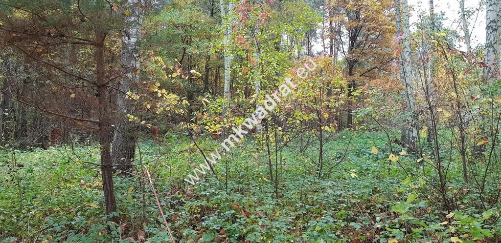 Działka Siestrzeń, ul. Nad Lasem. Zdjęcie 1