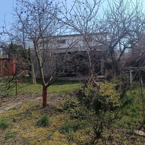 Działka rod Kalisz, ul. Borkowska. Zdjęcie 1