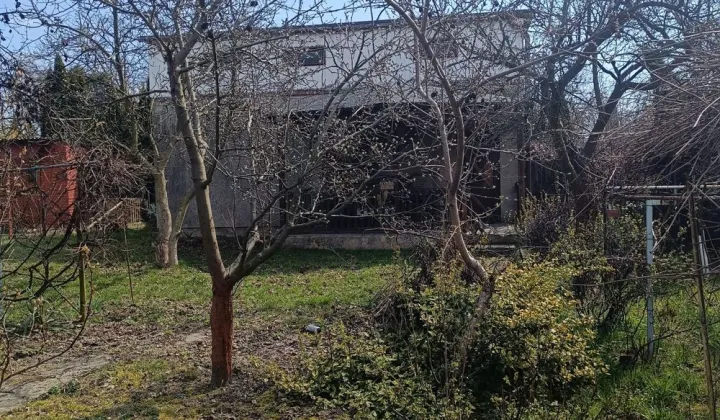 Działka rod Kalisz, ul. Borkowska