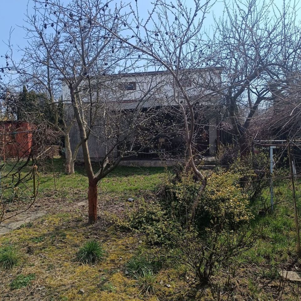 Działka rod Kalisz, ul. Borkowska. Zdjęcie 1