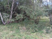 Działka budowlana Chyszówki. Zdjęcie 2