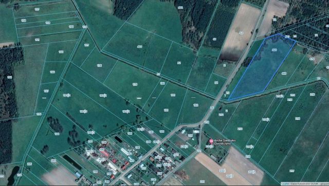 Działka rolna Gorodczyno. Zdjęcie 1