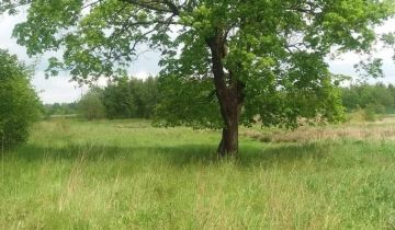 Działka budowlana Kowalewo, ul. Wiśniowa