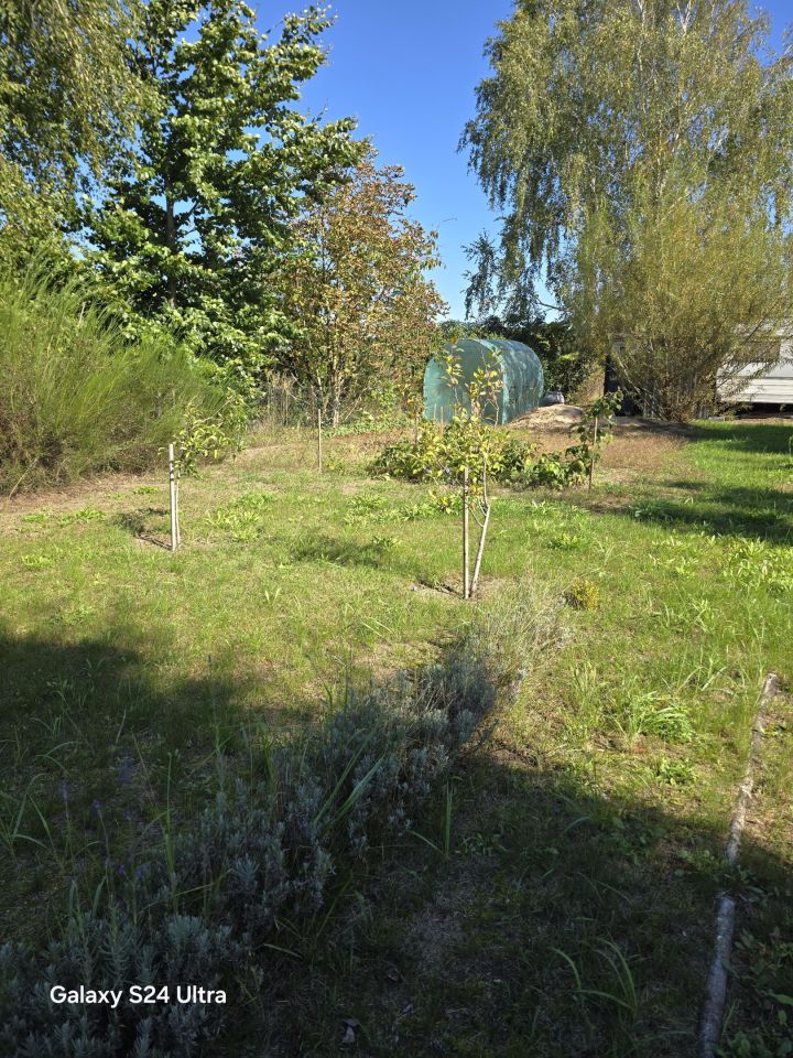 Działka rod Września Centrum, ul. Jana Matejki. Zdjęcie 9