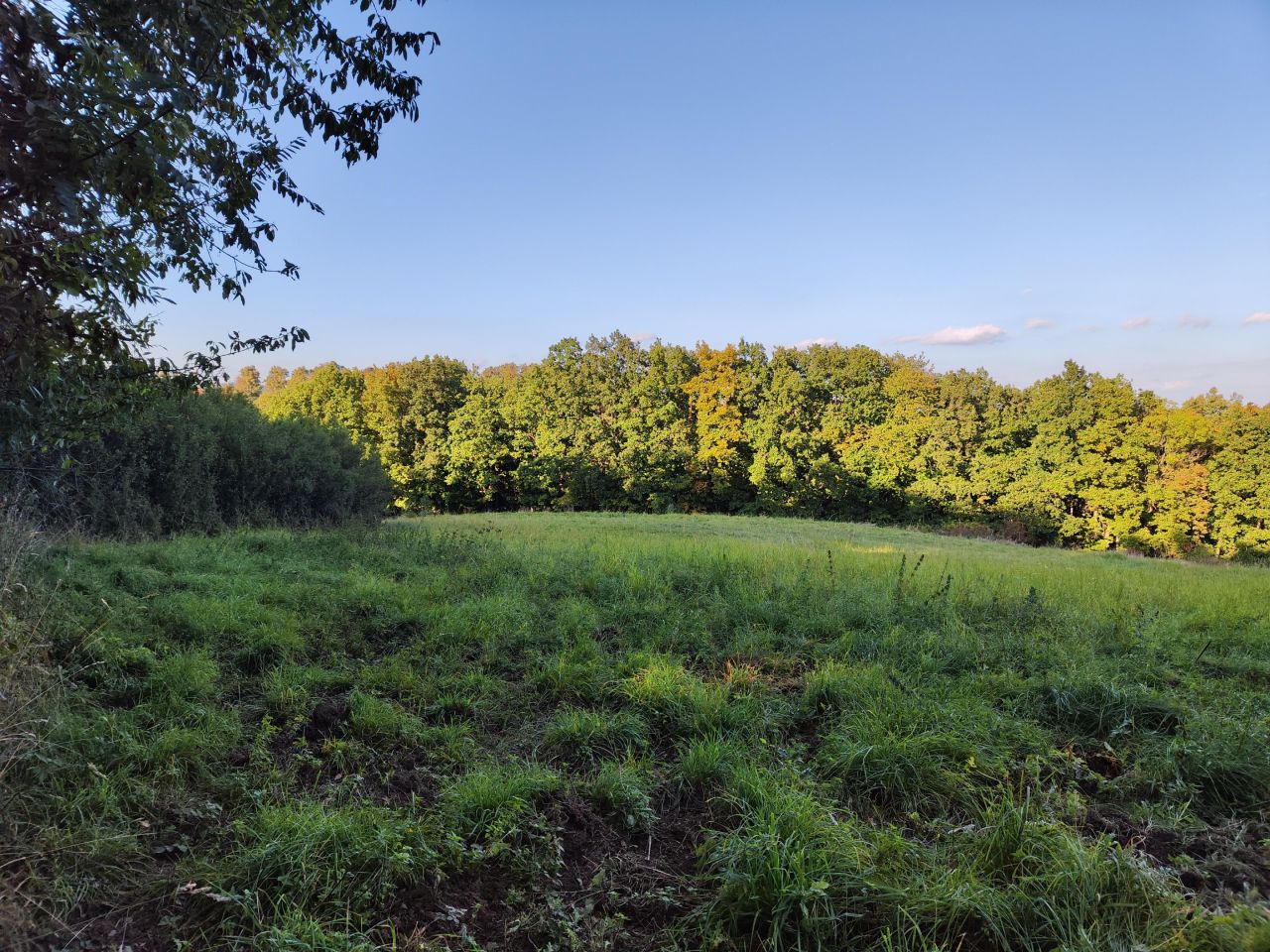 Działka budowlana Myślinów. Zdjęcie 6