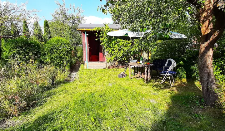 Działka rod Kielce Barwinek, ul. Wrzosowa