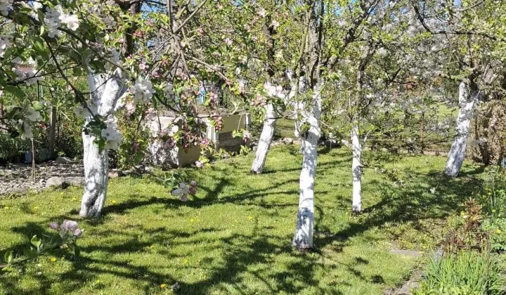 Działka rod Koszalin, ul. Holenderska