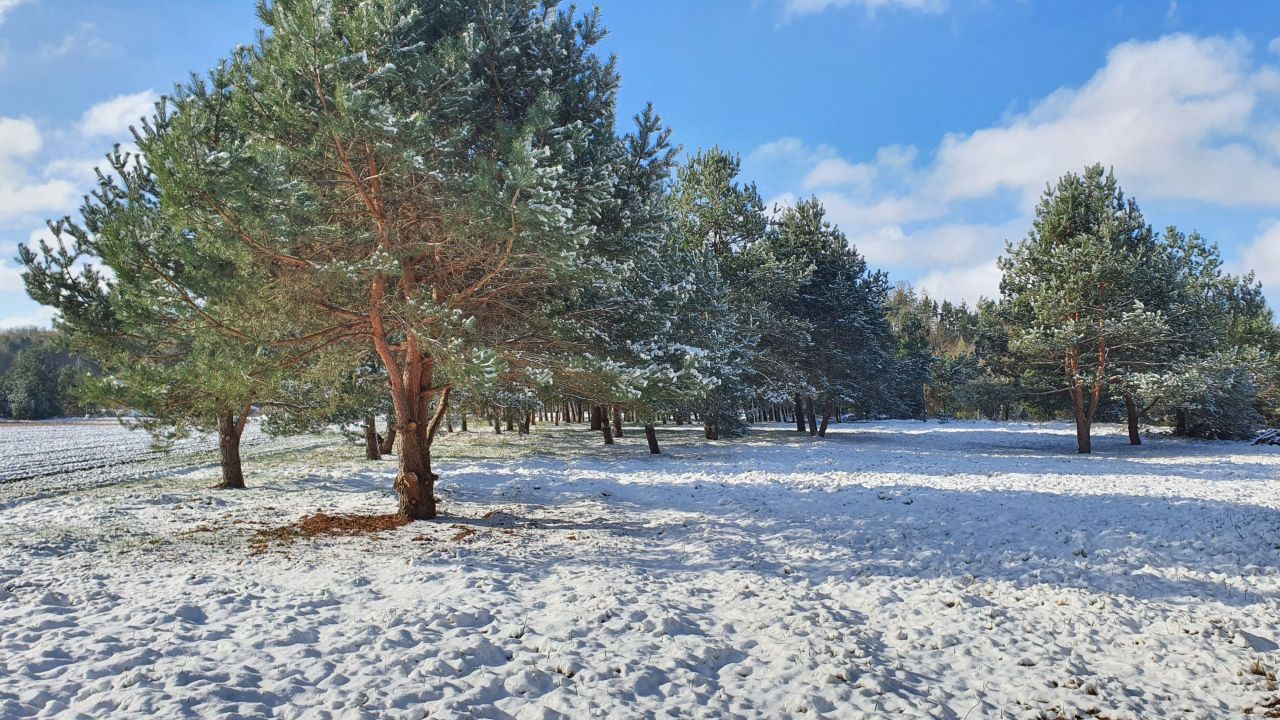 dom wolnostojący, 3 pokoje Skarbka Bidzińszczyzna, Bidizńszczyzna. Zdjęcie 19