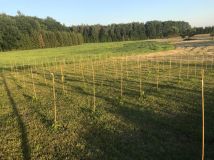 Działka rolno-budowlana Stradomno. Zdjęcie 3