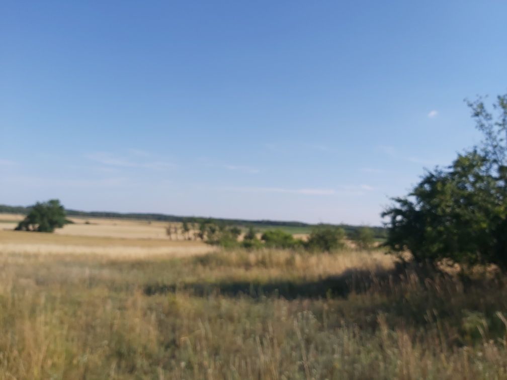 Działka rekreacyjna Bielin. Zdjęcie 8