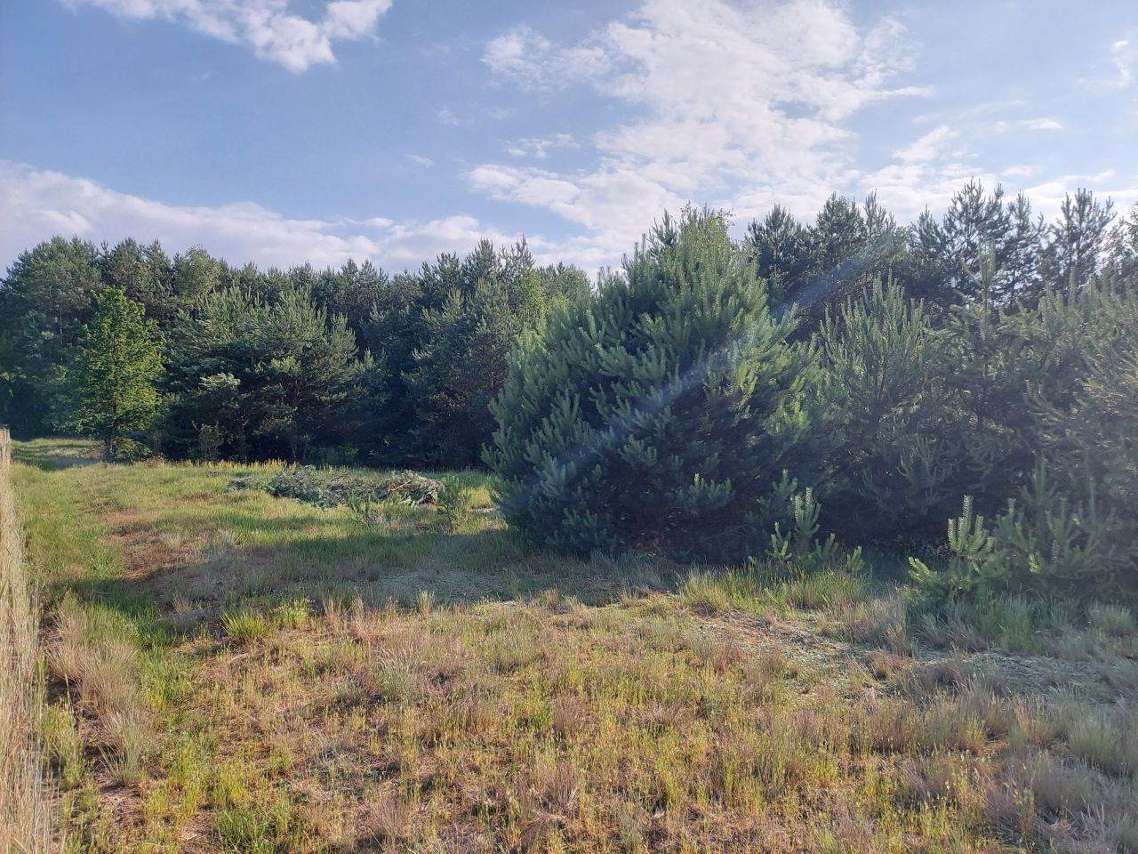 Działka budowlana Glinno kolonia. Zdjęcie 3