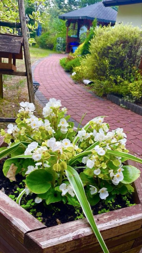 Działka budowlana Duży Dół. Zdjęcie 3