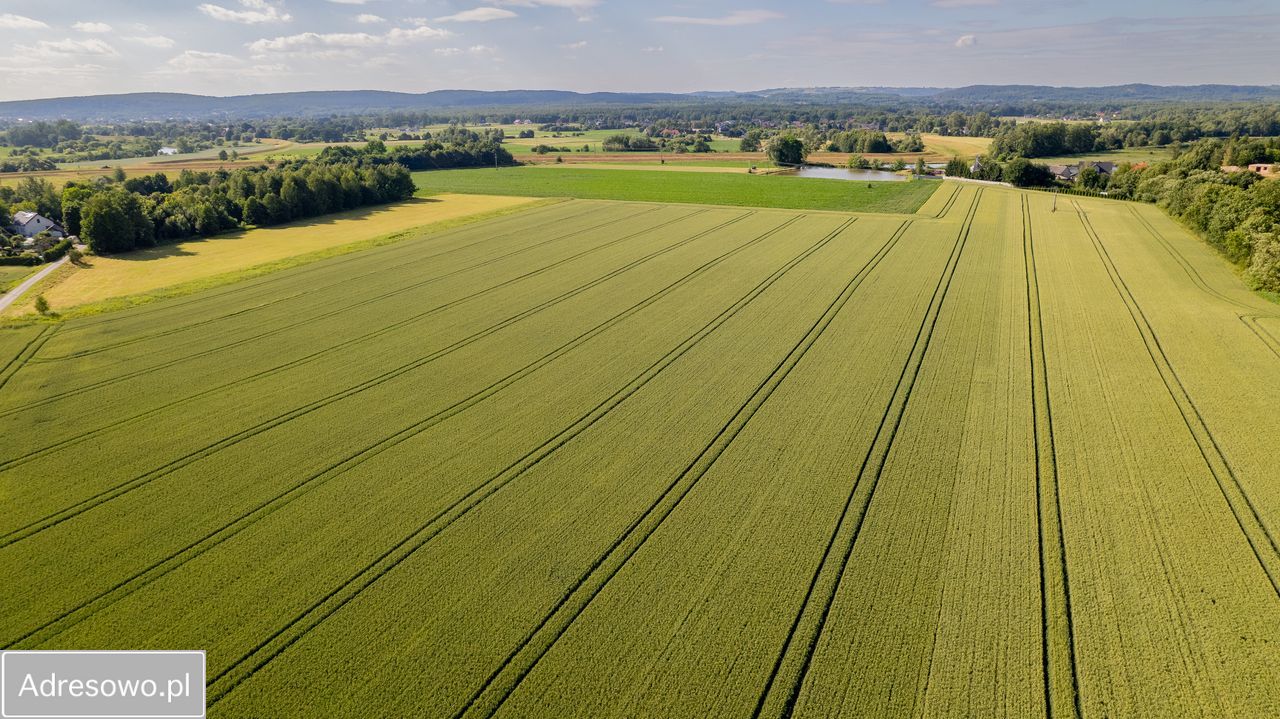 Działka rekreacyjna Czernichów. Zdjęcie 6
