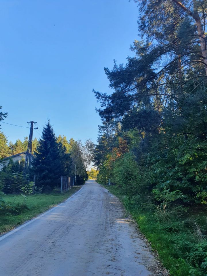 Działka leśna Kostrzyn. Zdjęcie 4